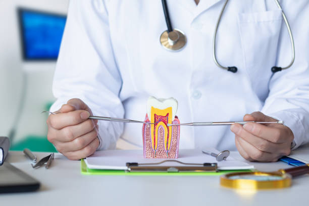 Best Chipped Tooth Repair Near Me  in Perry, OK